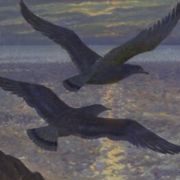 Gulls in Moonlight