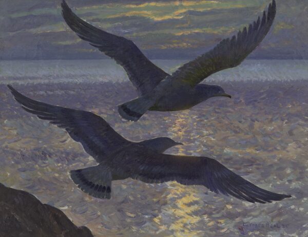 Gulls in Moonlight