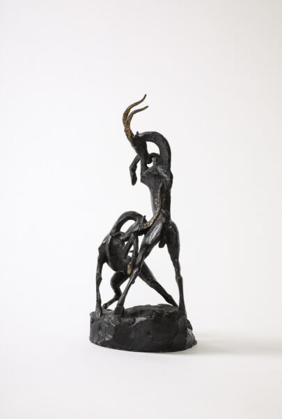 Fighting Goats