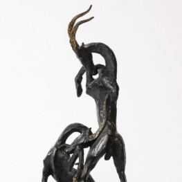Fighting Goats