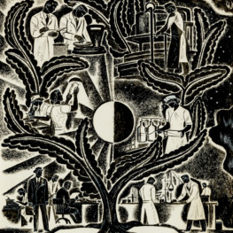 The Tree of Knowledge, Science