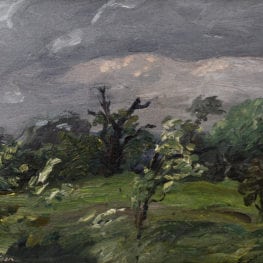 Orchard, Coming Storm